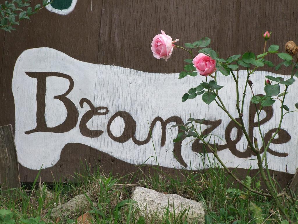 Casa Branzele Bed and Breakfast Trezzo Tinella Buitenkant foto
