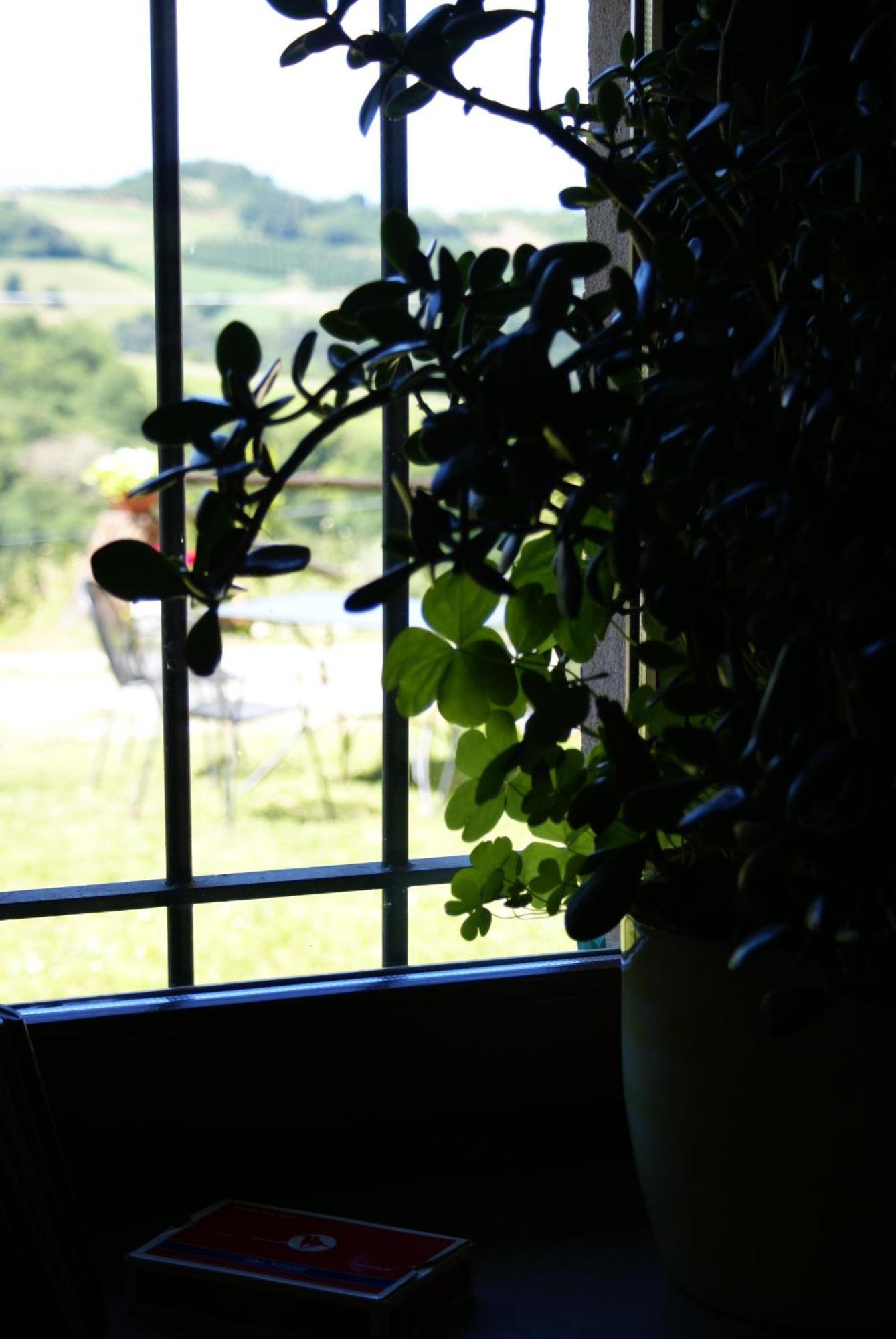 Casa Branzele Bed and Breakfast Trezzo Tinella Buitenkant foto