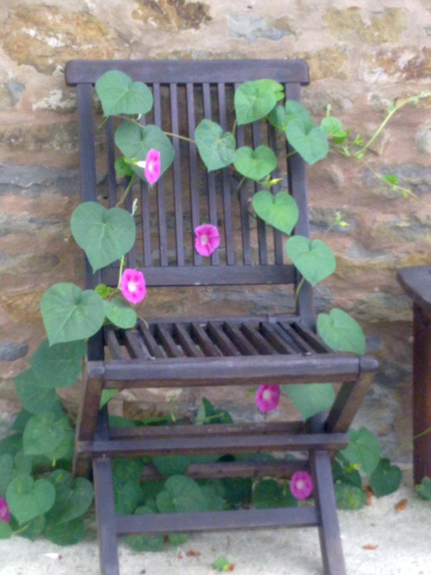 Casa Branzele Bed and Breakfast Trezzo Tinella Buitenkant foto