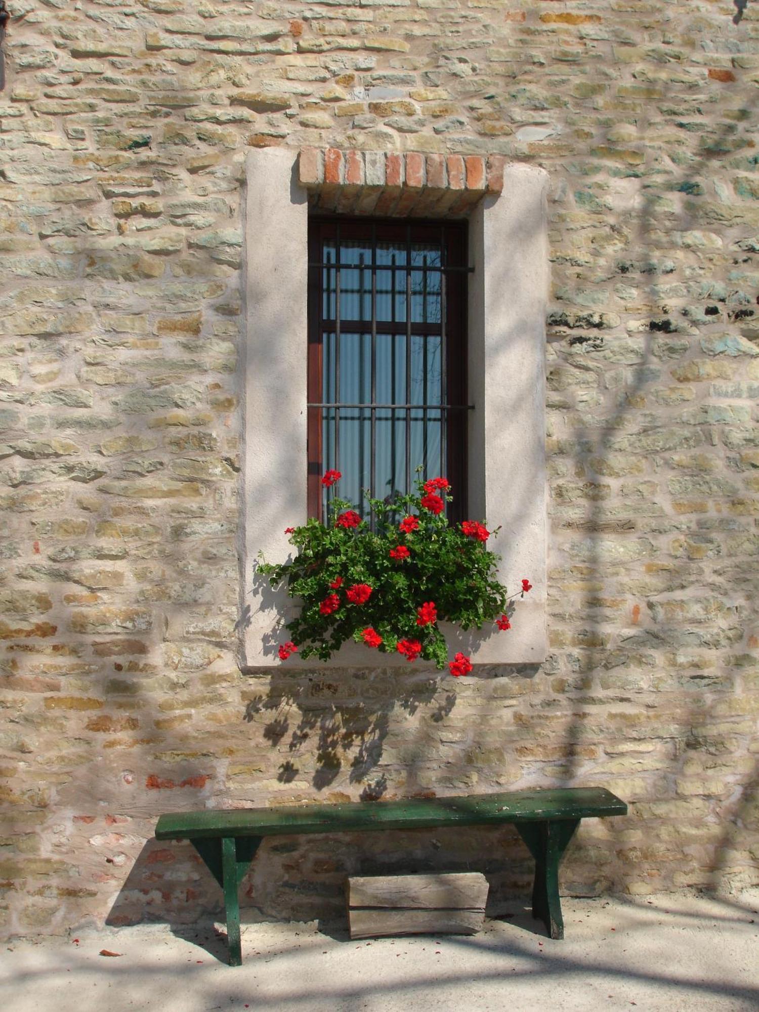 Casa Branzele Bed and Breakfast Trezzo Tinella Buitenkant foto