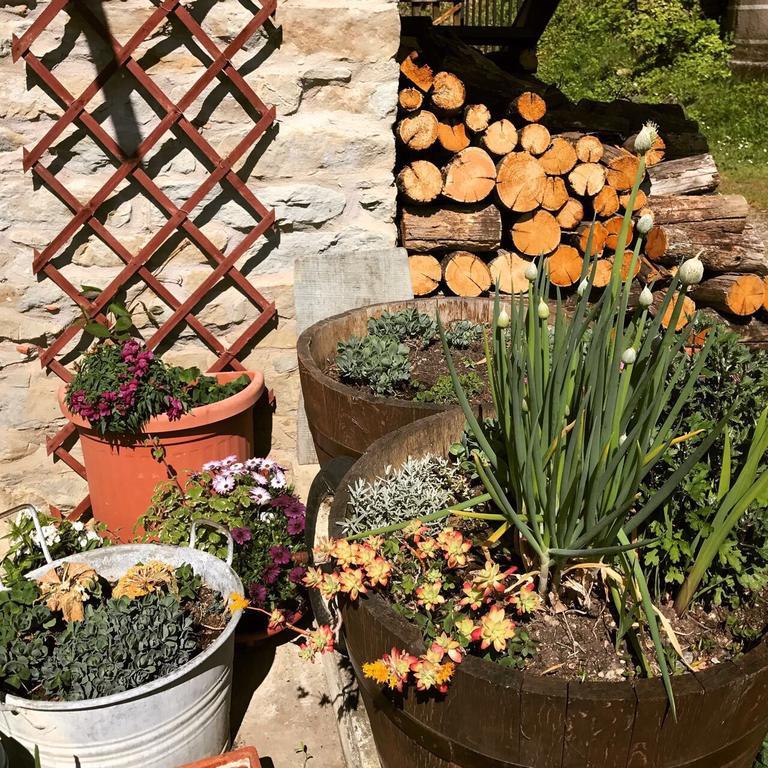 Casa Branzele Bed and Breakfast Trezzo Tinella Buitenkant foto