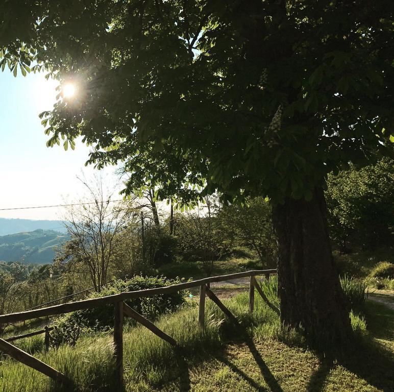 Casa Branzele Bed and Breakfast Trezzo Tinella Buitenkant foto